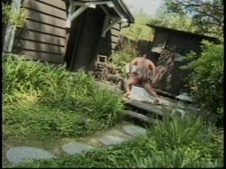 'Black MILTF 6' screenshot nº 41