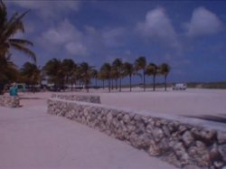 'MILF School 10' screenshot nº 49