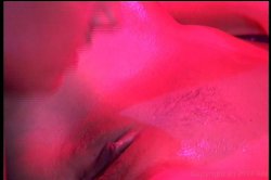 Captura de 'No Man's Land 37' nº 82