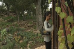 Captura de 'Lesbian Seductions Older/Younger Vol. 35' nº 1