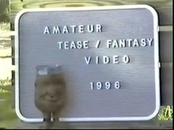 Captura de 'Bob's Videos #112 - Lingerie Pipedreams' nº 7
