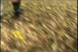 'Tournante' screenshot nº 87