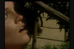 'Fiesta, The' screenshot nº 44