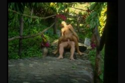 'Fiesta, The' screenshot nº 97