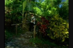 'Fiesta, The' screenshot nº 21