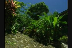'Fiesta, The' screenshot nº 22