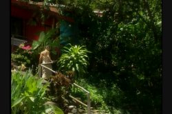 'Fiesta, The' screenshot nº 24