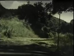 'Christy In The Wild' screenshot nº 102