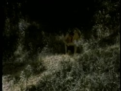 'Christy In The Wild' screenshot nº 111