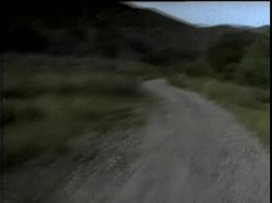 'Christy In The Wild' screenshot nº 3