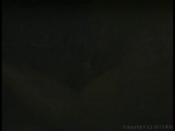 'Badd Girls 1' screenshot nº 100