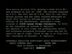 'Badd Girls 1' screenshot nº 2