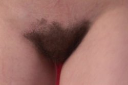 Captura de 'My Hairy Cream Pie 15' nº 61