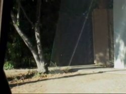'Chasing White Booty' screenshot nº 6