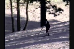 Captura de 'Anal Ski Vacation' nº 44
