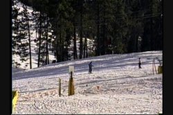Captura de 'Anal Ski Vacation' nº 73