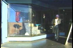 'Chaos in Da Jungle' screenshot nº 7