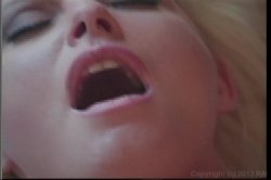 Captura de 'All Girl Pussy Party' nº 38