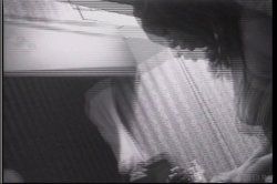 Captura de 'All Girl Pussy Party' nº 100