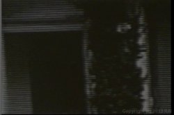 Captura de 'All Girl Pussy Party' nº 117