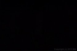 'Monster Mile 2' screenshot nº 19