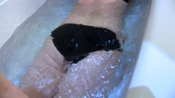 'Bathing of the British Bush' screenshot nº 31
