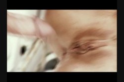 Captura de 'Free Asses' nº 29