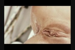 Captura de 'Free Asses' nº 30