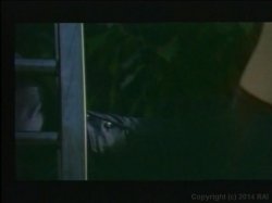 Captura de 'Nasty In Nylons' nº 110