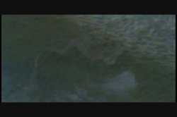 Captura de 'Cheyenne: Up Close & Personal' nº 66