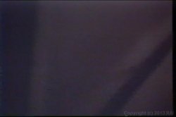 Captura de 'Honey Wilder Triple Feature 3' nº 129