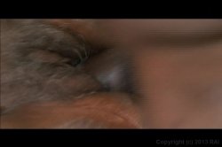 'My Black M.I.L.F. Neighbor 2' screenshot nº 140