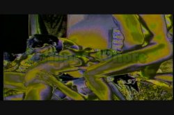 Captura de 'Puritan Video Magazine 8' nº 69