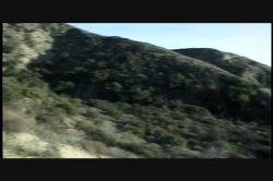 Captura de 'Puritan Video Magazine 8' nº 122