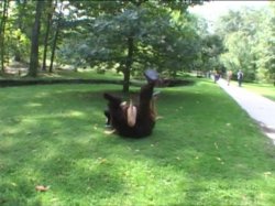 Captura de 'Shane's World 32 - Campus Invasion' nº 8