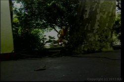Captura de 'Before They Were Superstars 2' nº 27