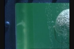 Captura de 'Cafe Flesh 3' nº 45