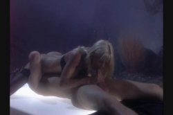 Captura de 'Cafe Flesh 3' nº 10