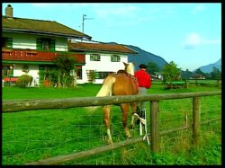 Captura de 'Heidi #5 - Heidi Und Die Lustigen Spritzbuben Der Berge (Heidi And The Funny Boys Spray The Mountai' nº 85