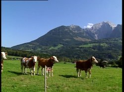 Captura de 'Heidi #5 - Heidi Und Die Lustigen Spritzbuben Der Berge (Heidi And The Funny Boys Spray The Mountai' nº 87