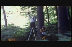 Captura de 'Misbehavin'' nº 61