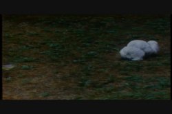 Captura de 'Misbehavin'' nº 23