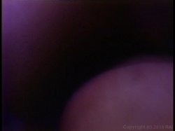 'Angel Buns' screenshot nº 118