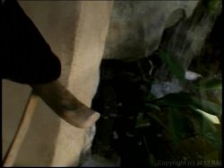 'Fem Diva' screenshot nº 137
