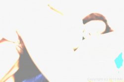 'Barely Legal Bush' screenshot nº 3