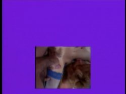 Captura de 'Superstars of Porno Vol. 1' nº 131