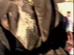 Captura de 'The Best Of XXX 1 & 2' nº 1
