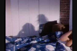 Captura de 'Viva Vanessa' nº 4