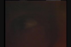 'Cyberanal' screenshot nº 79