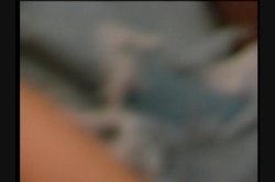 Captura de 'Not the Lovin' Kind' nº 62